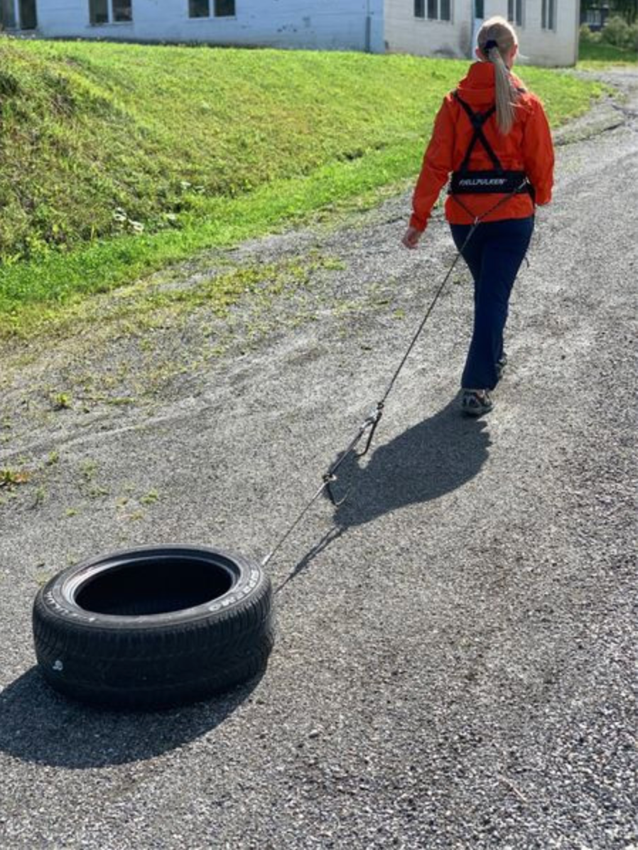 Pulling rope for pulk and tyre pulling